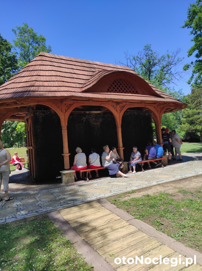 Domki całoroczne Bieszczady Panasiewiczówka Odrzechowa (31)