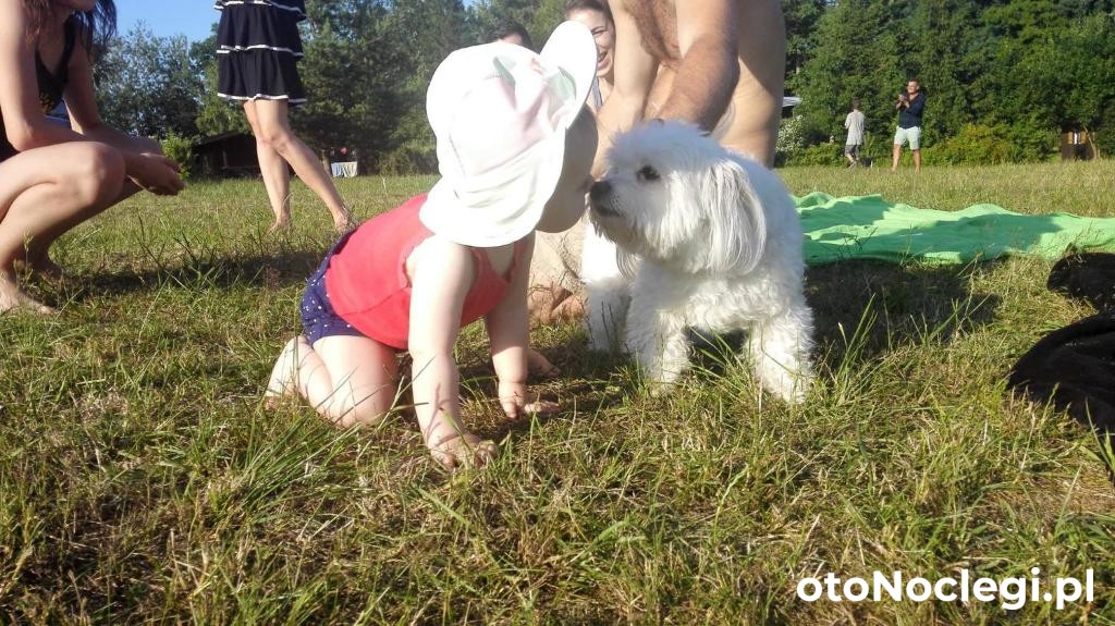 SŁOŃCE MAZUR Budy (15)