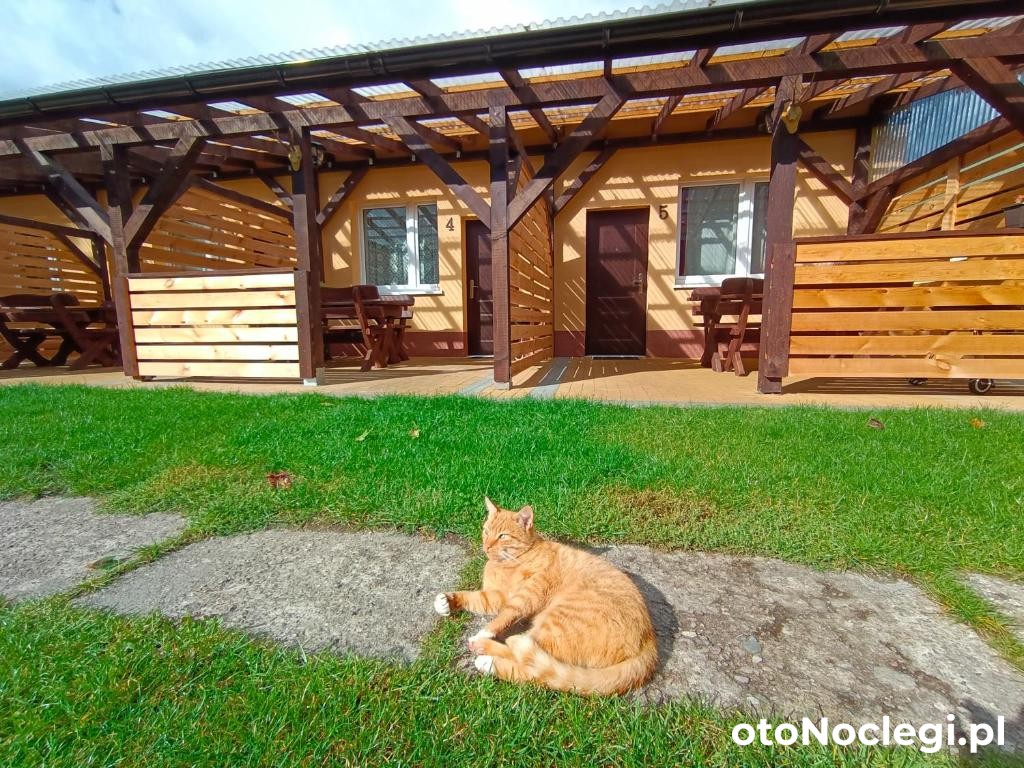 Agroturystyka Alex - Szczecinek  (1)