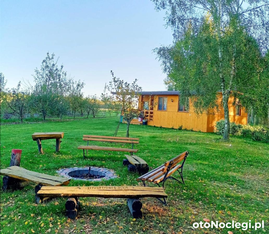 Brzozowy Gaj – Orzechów-Kolonia (1)