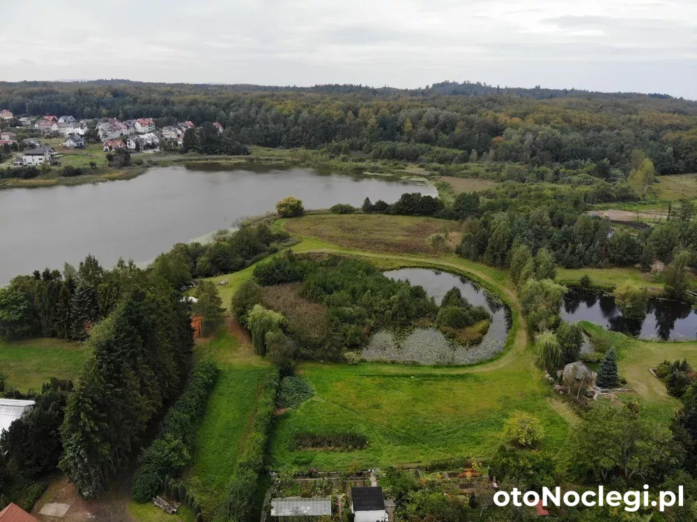 Apartamenty Alina i kort tenisowy Kartuzy (16)