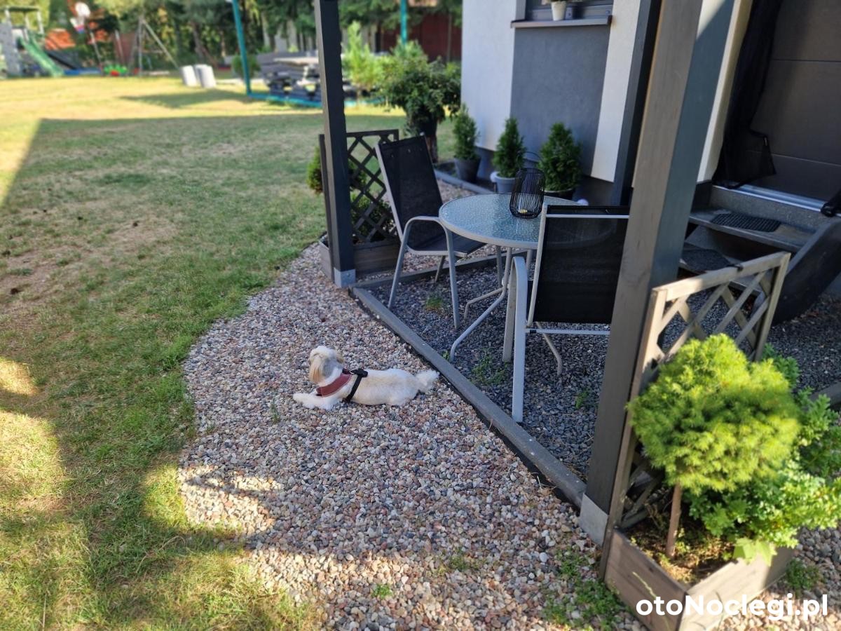 Domek Adam Kościerzyna (35)