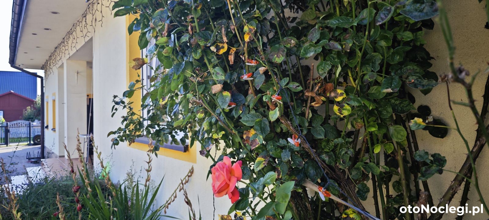 Domki i Pokoje MaTi Przewłoka (40)