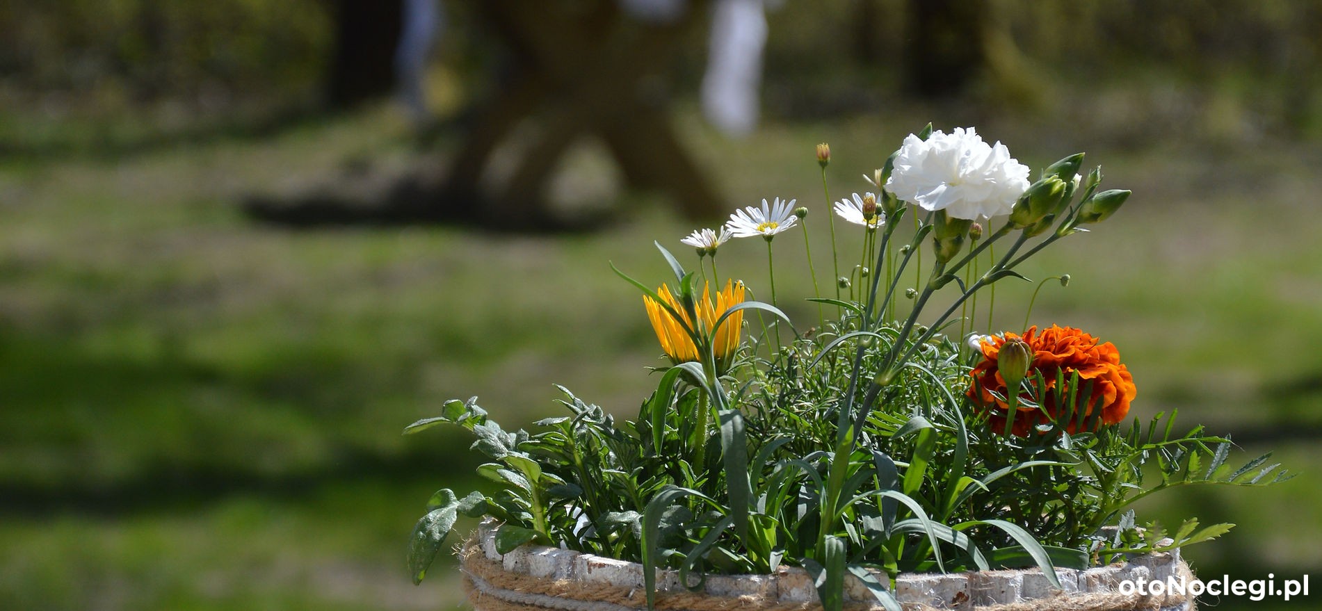 Zielono Mi Stawiguda (12)