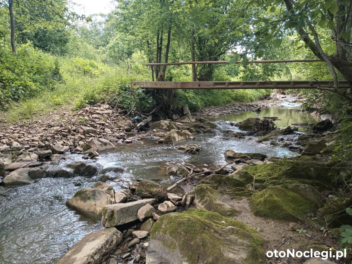 Mini domki Wilcza Wola Górzanka (1)