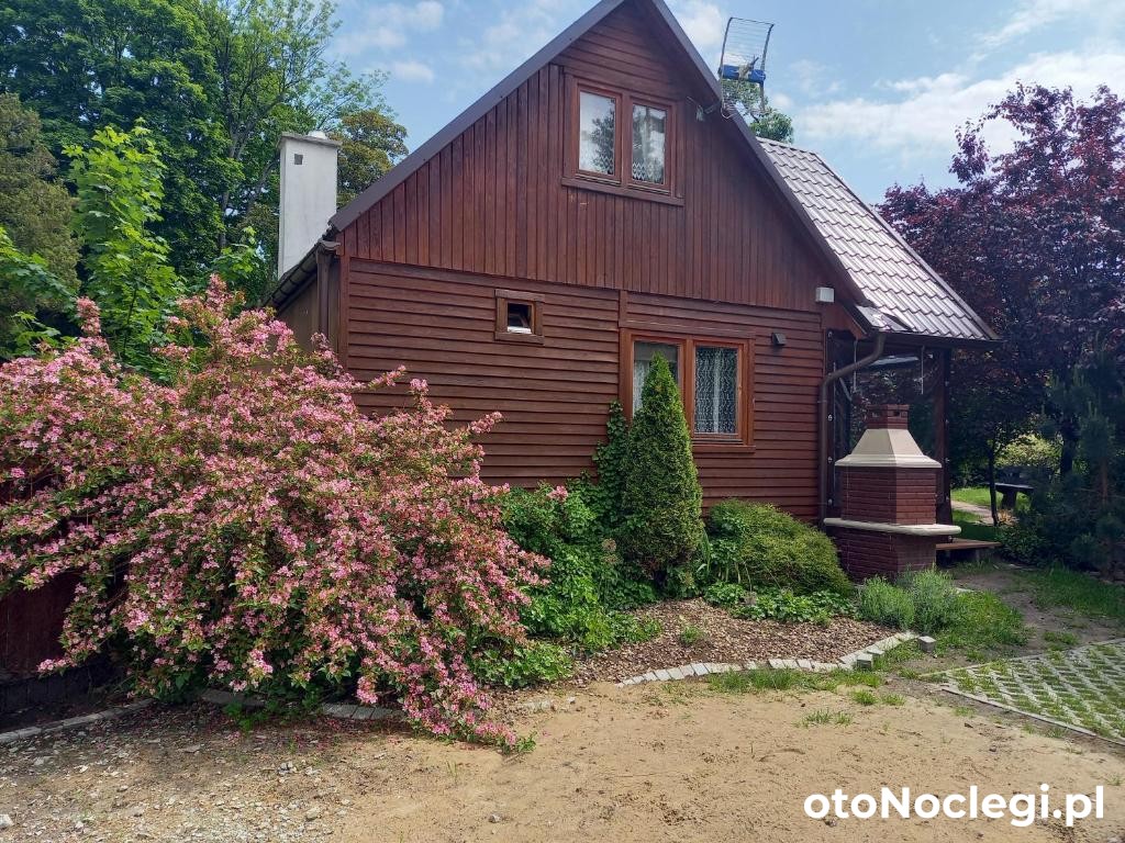 Domki Muszelka, Stegna (1)