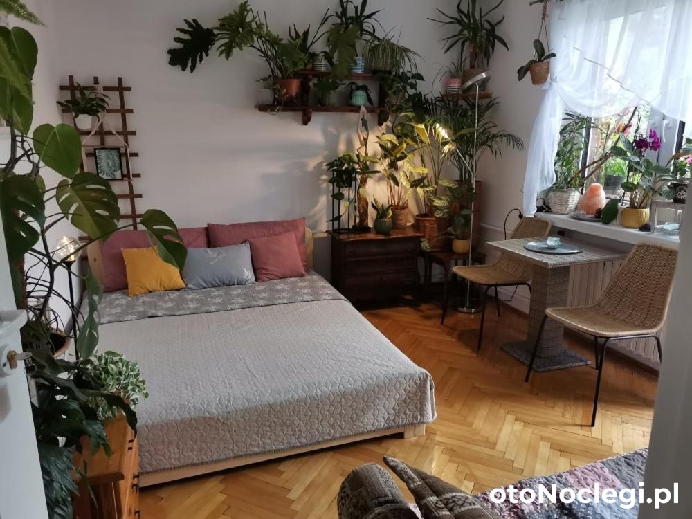 Instytut Zdrowia I Hortiterapii Mrągowo (1)