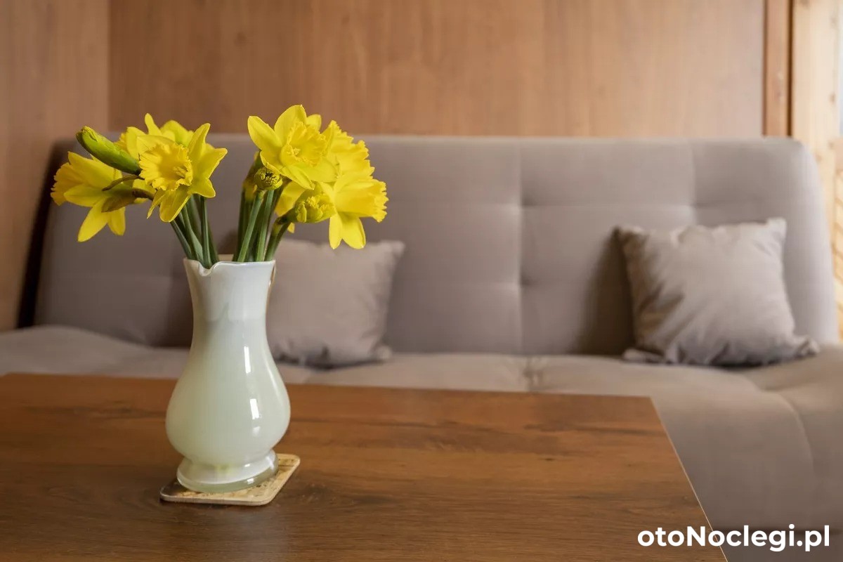 Apartamenty Alina i kort tenisowy Kartuzy (58)