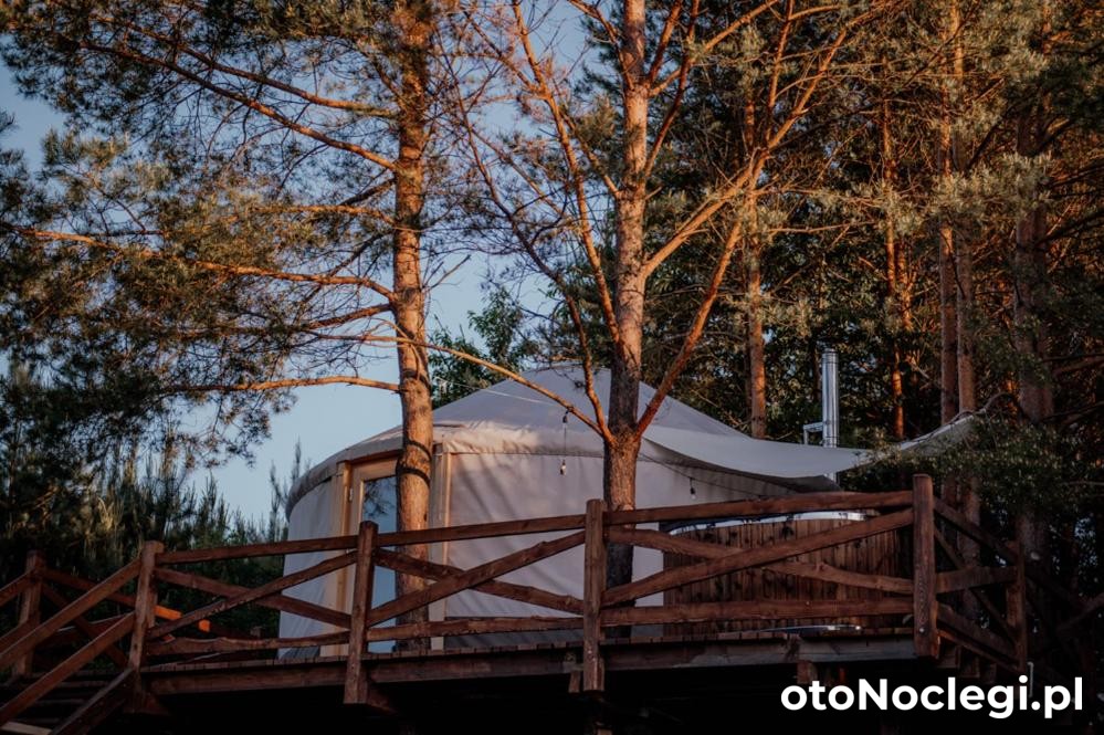 Dzikolas Glamping - Hutki (1)