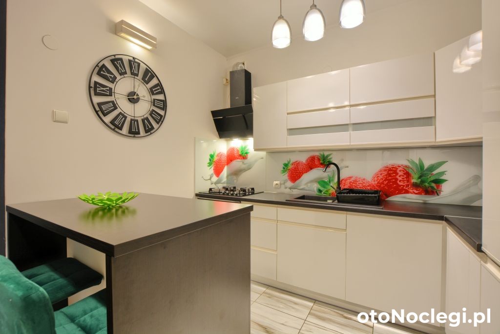 Art Apartament Krynica Zdrój Centrum Krynica-Zdrój, Krynica Górska (12)