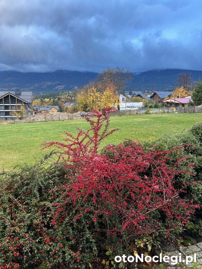 Apartament Ola na Górnej Szklarska Poręba (39)