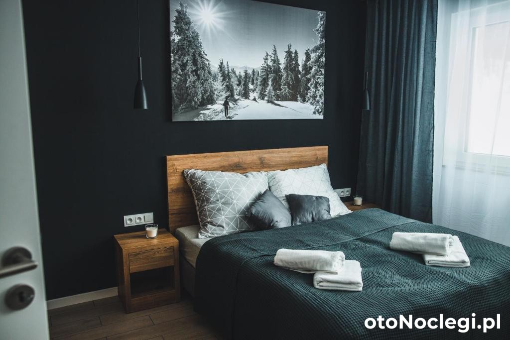 Apartamenty Pod Stokiem Szczyrk (22)