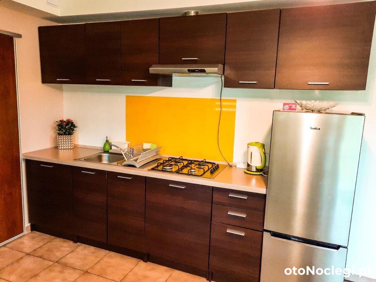 Apartamenty Termy The Best Bańska Zakopane (41)