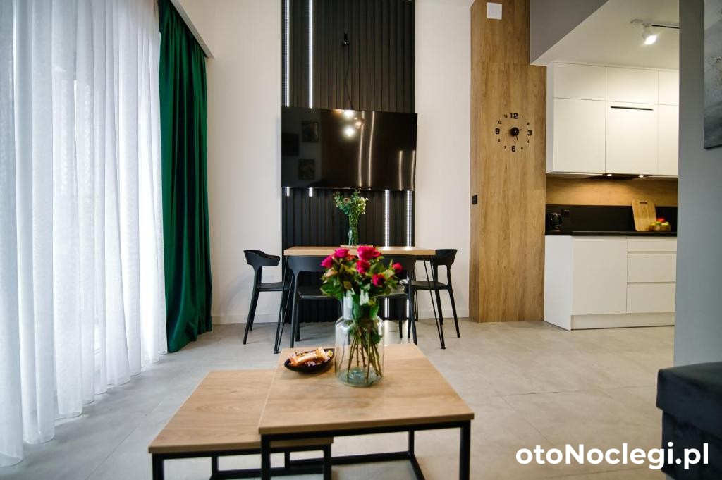 Apartament Loft Zarzecze (31)