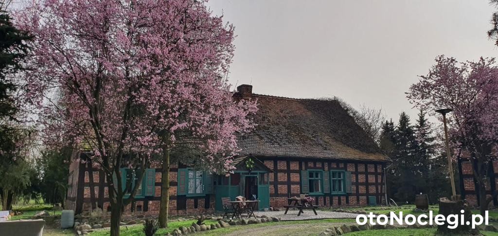 Wygwizdowo, Stare Kurowo (1)