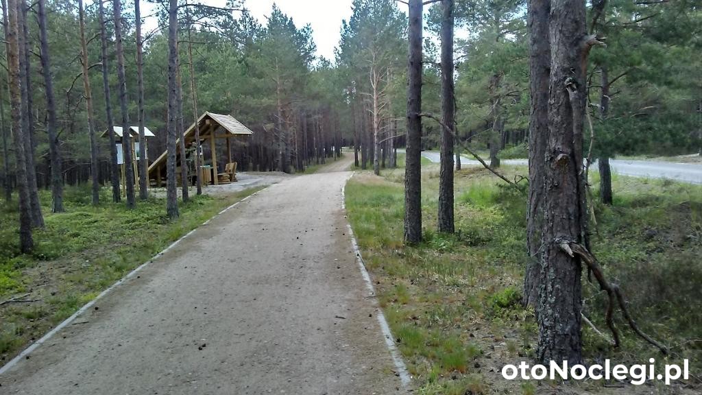 Domki Letniskowe Zygmunt Kopalino (23) Domki Letniskowe Zygmunt Kopalino (23)