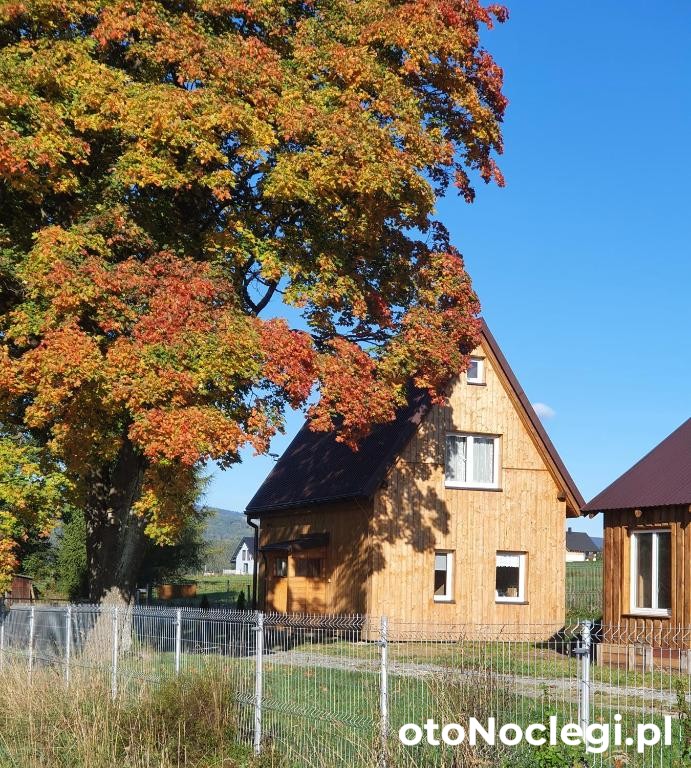 Lasówka Misiowka (1)