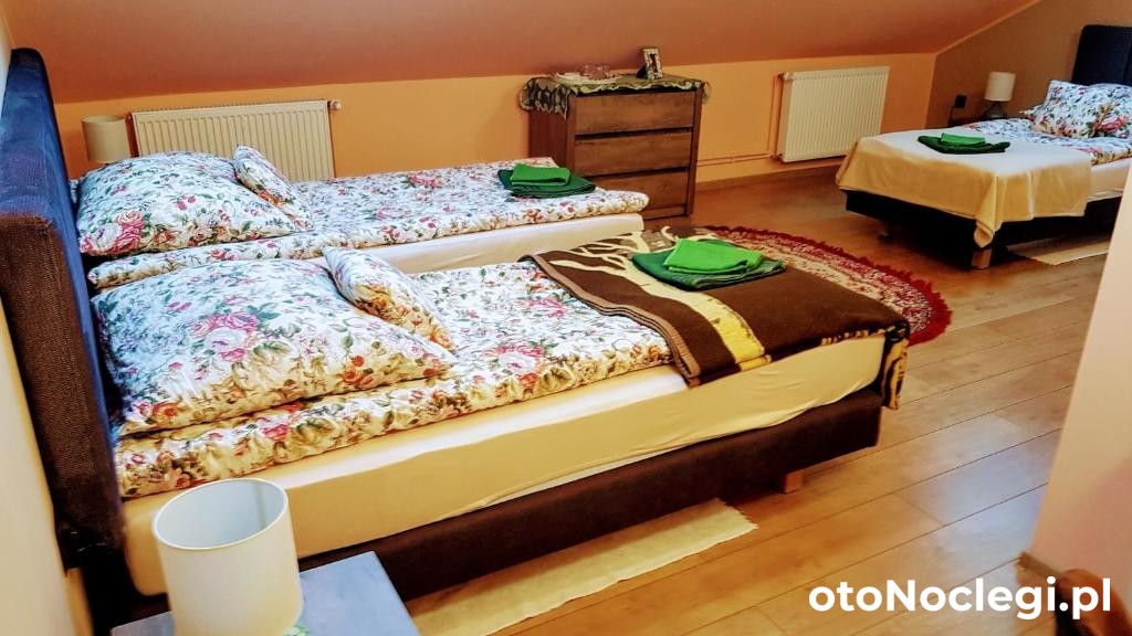 Dom Gościnny Wisteria Andrychów (6)