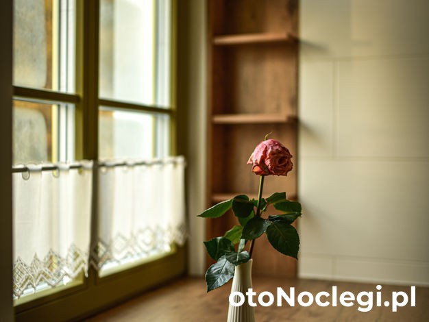 Zielono Mi Stawiguda (16)