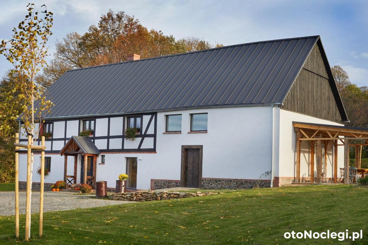 Dobre Historie, Leśna (1)