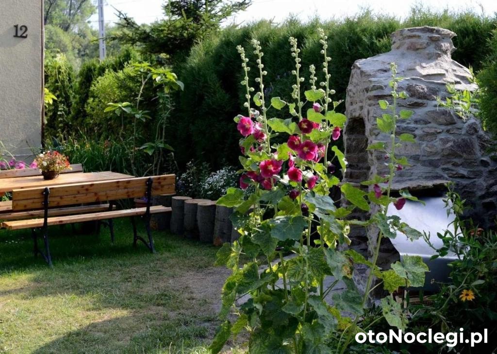 Agroturystyka nad Młynówką Stronie Śląskie (15)