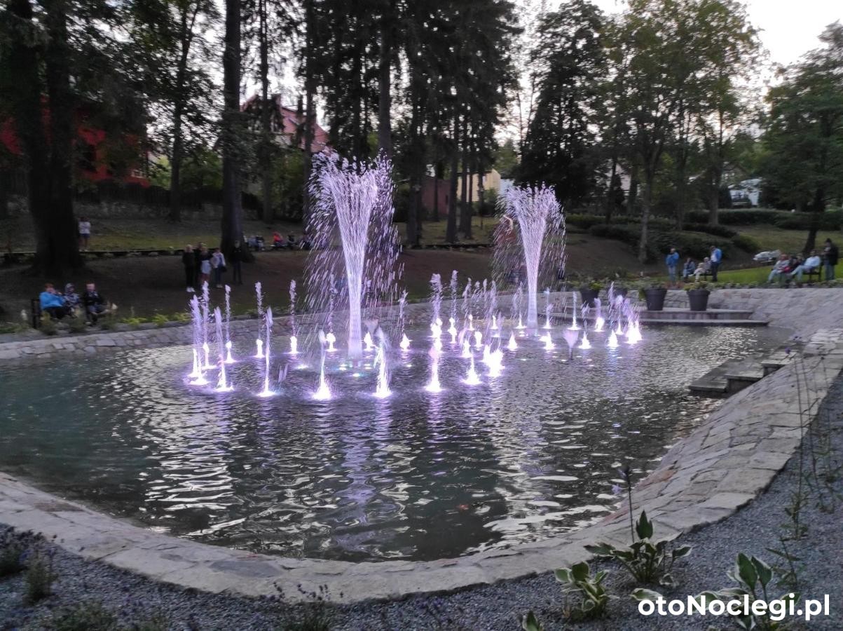 Apartament Pod Jałowcem Góry Sowie Jedlina-Zdrój (22)