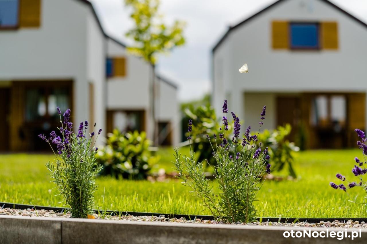 Domki Lawendowe Łeba (23)