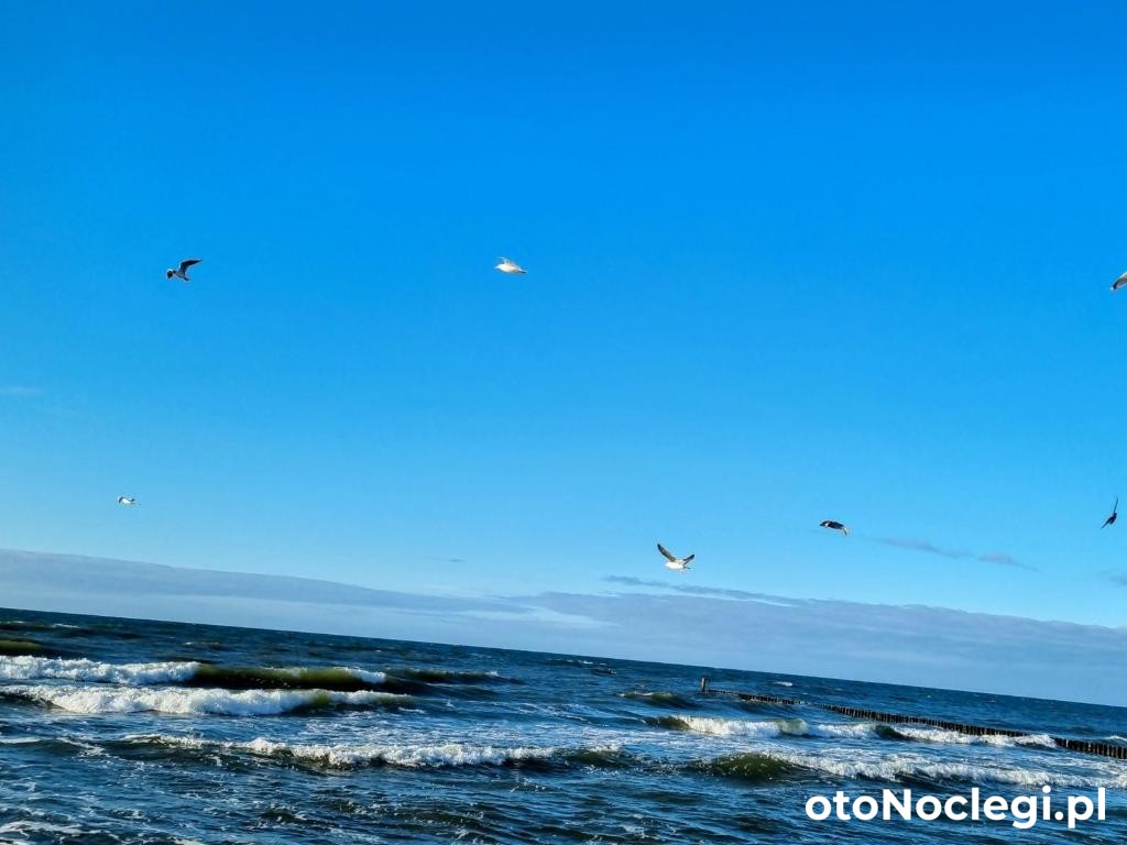 Apartament Turkusowy w Mielnie  Mielno (18)