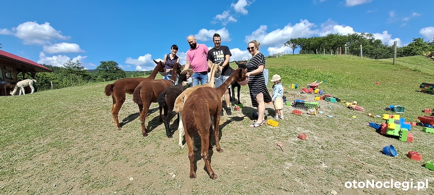 Widokówka Myczkowce (20)