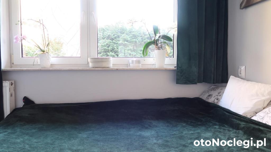 Pokoje Gościnne La Mare Władysławowo (17)