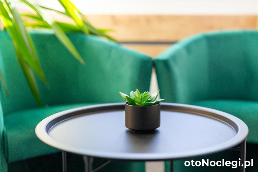 Villa TO-TU Szklarska Poręba (11)