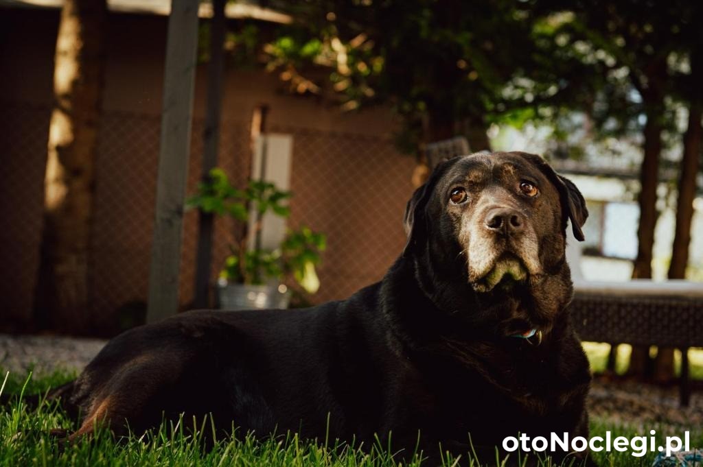 Apart House Karwia (18)