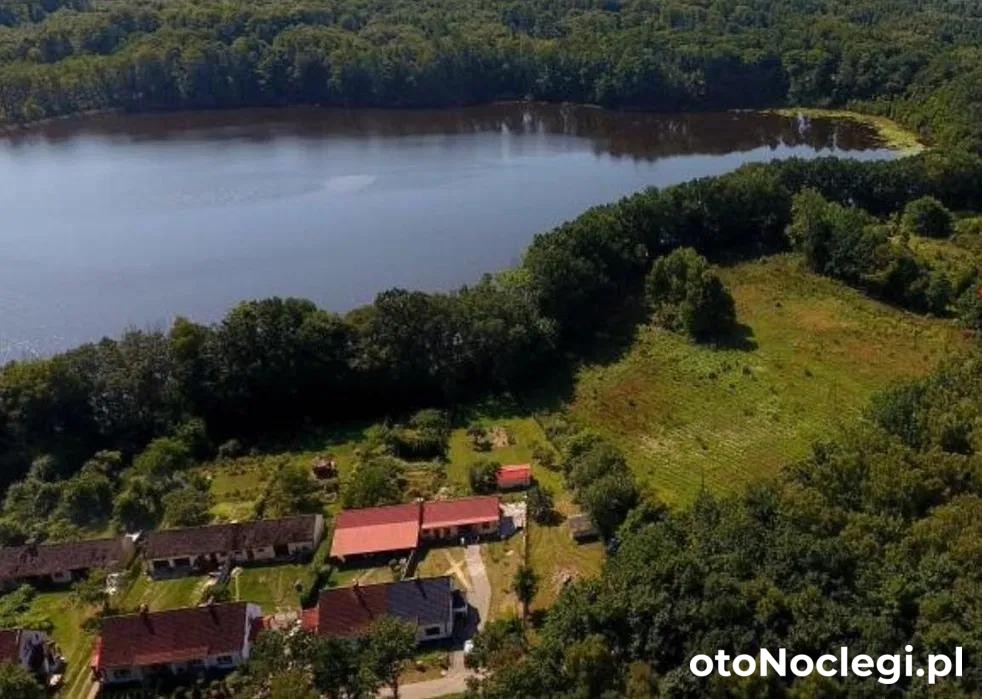 Slow Spot Przy Lesie, Szczecinek (1)