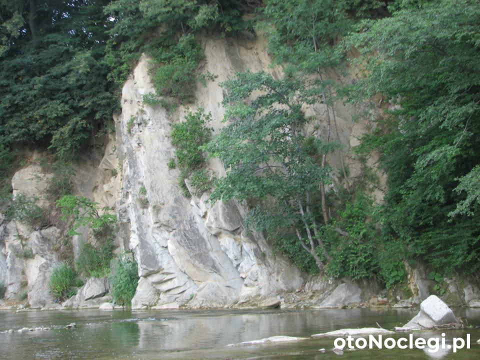 Domki Letniskowe Spokojne Miejsce Lesko (14)