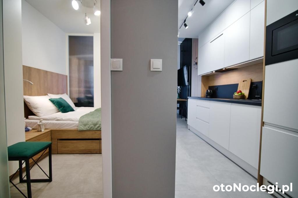 Apartament Loft Zarzecze (6)