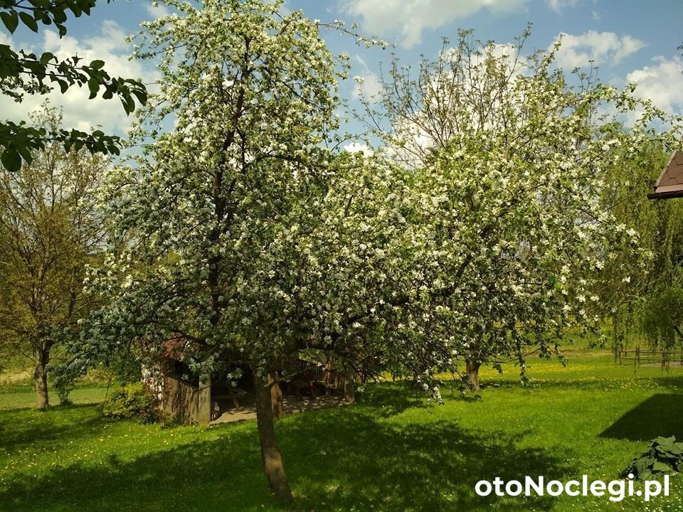 Agroturystyka  Agroturystyka