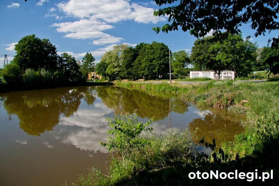 Agroturystyka Pod Lipą Frampol (17)