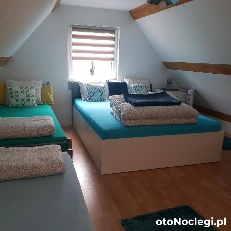 Domek Adam Kościerzyna (31)