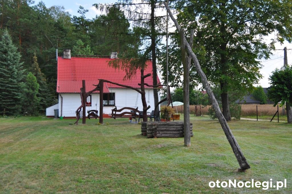 Leśne zacisze na Podlasiu  Tuczna (1)
