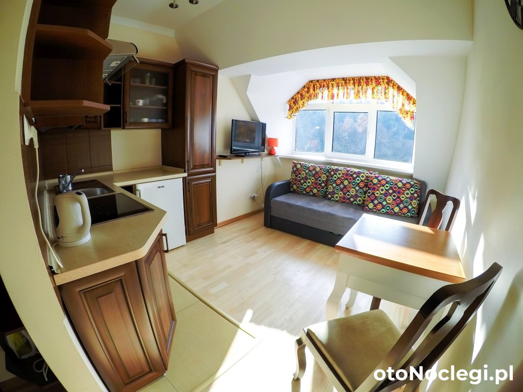 Art Apartament Krynica Zdrój Centrum Krynica-Zdrój, Krynica Górska (16)