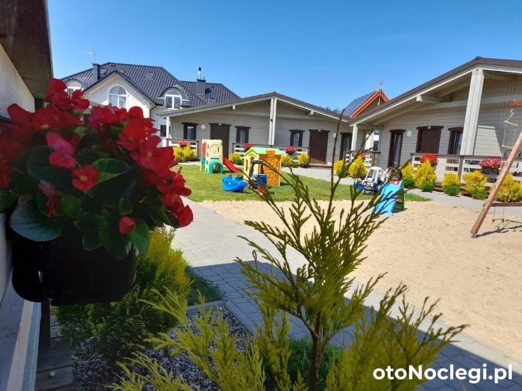 Niezapominajka Ustka Ustka (31)