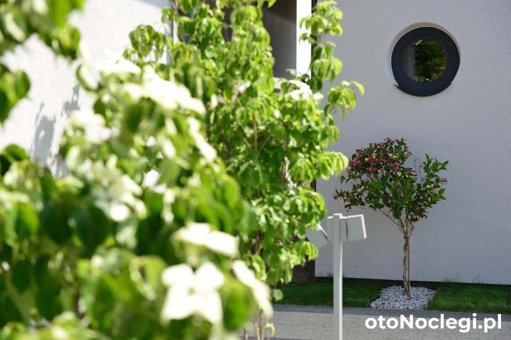 Jastrzębia Marina Jastrzębia Góra (22)