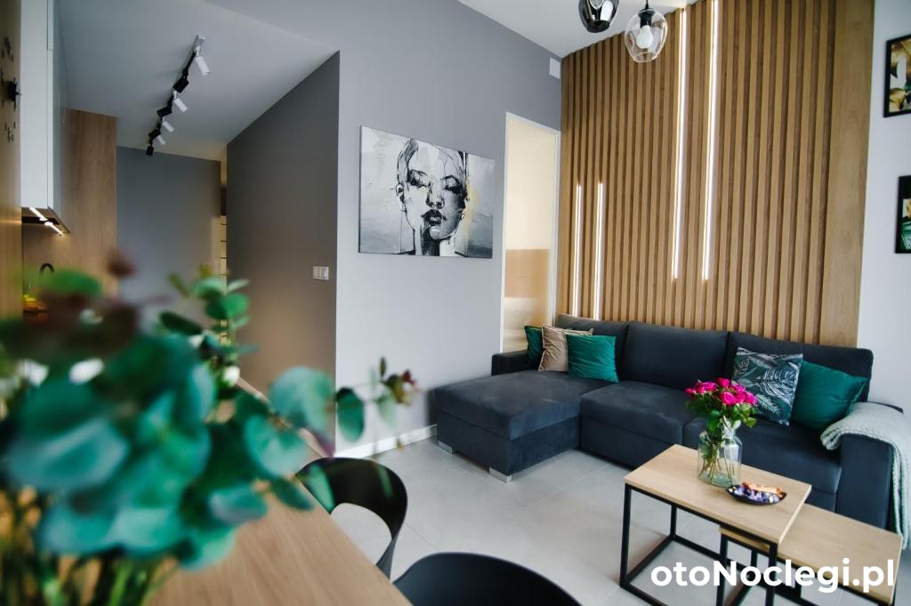 Apartament Loft Zarzecze (23)