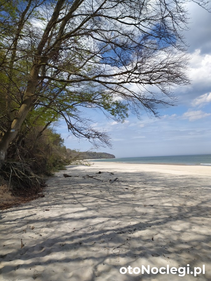 Wczasy Sandi Władysławowo (38)