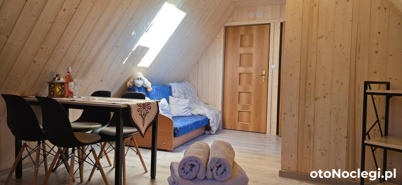 Willa Aleksandrzak Zakopane (10)