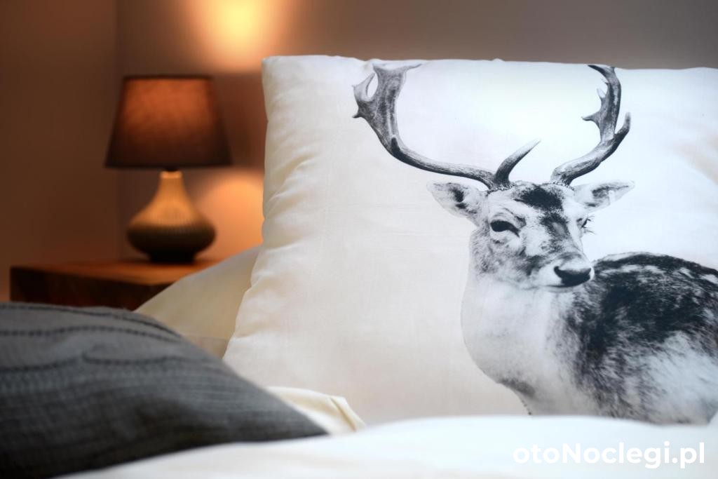 Górska Rezydencja Karpacz (12)