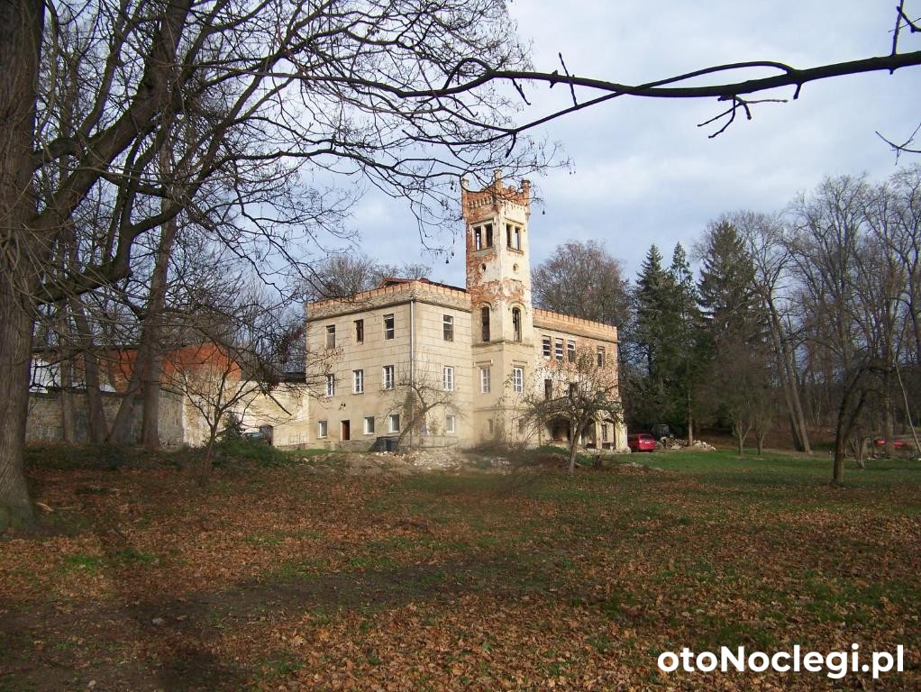 Pałac w Dąbrowicy - Agroturystyka (1)