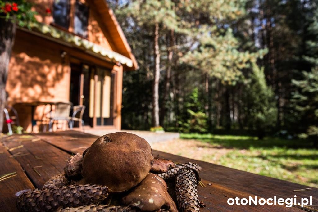 Domek pod Klonem Biszcza (16)