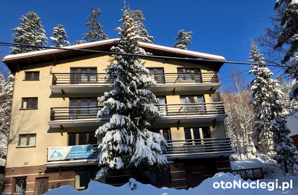 Niezapominajka Szczyrk (10)