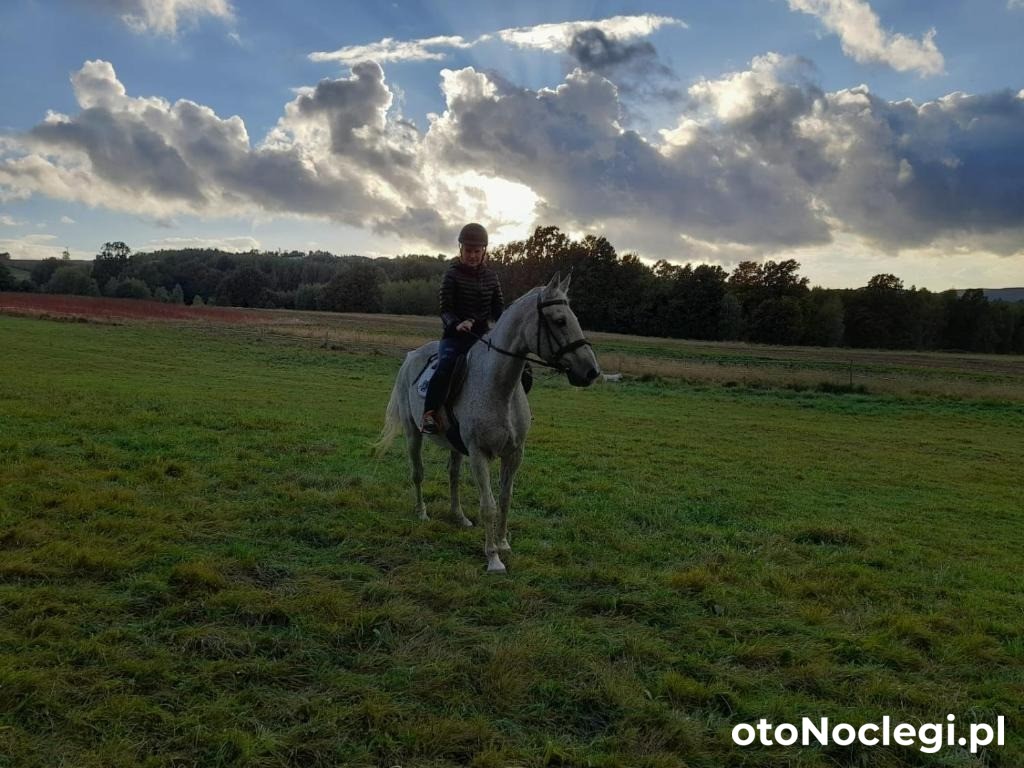 Agroturystyka Stylowy Pokój w Stajni Krajno Zagórze (12)